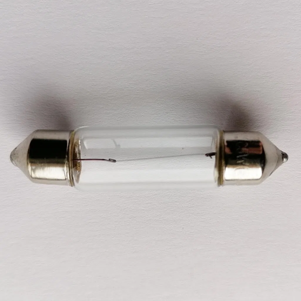 SIO 20x Bombillas Plafonier C5W 24V – Lámparas Festoon Interior Camión 38 mm – Luz Blanca para Cabina, Matrícula y Techo – Pack Profesional Iluminación Vehículos Pesados - Bombillas VI Autocar